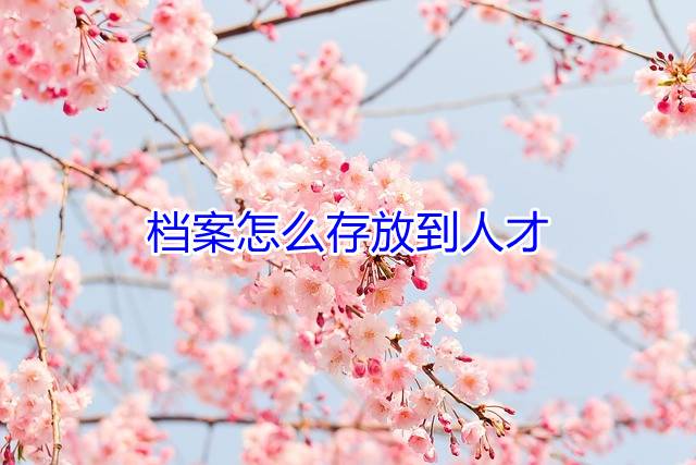 档案怎么存放到人才