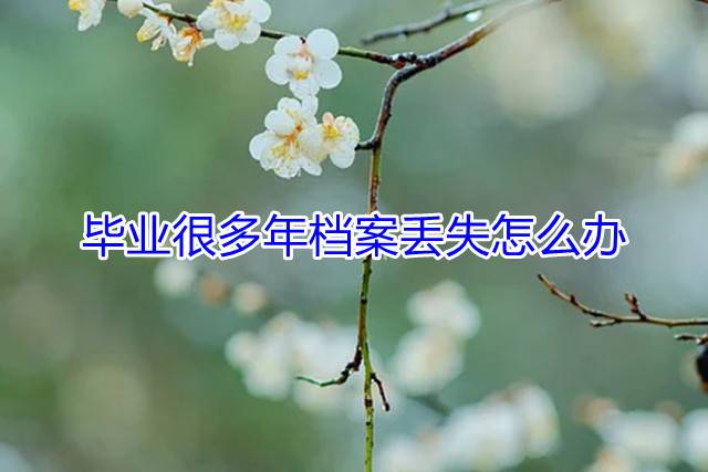 毕业很多年档案丢失怎么办