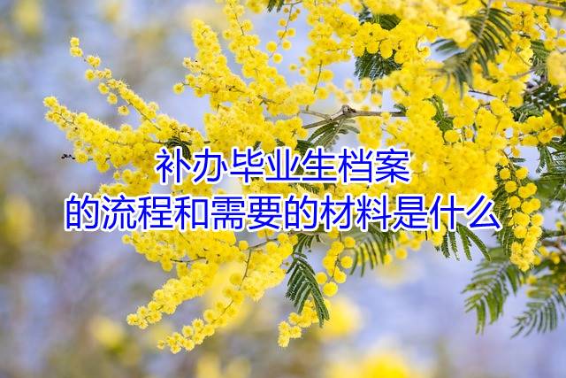 补办毕业生档案的流程和需要的材料是什么