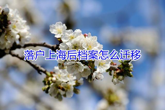 落户上海后档案怎么迁移