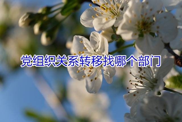 党组织关系转移找哪个部门