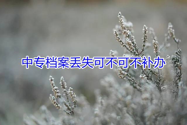 中专档案丢失可不可不补办