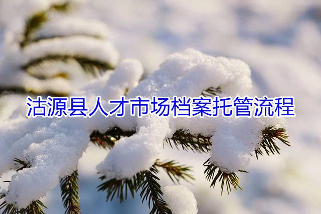 沽源县人才市场档案托管流程