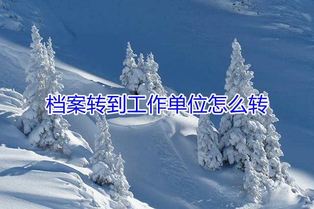 档案转到工作单位怎么转