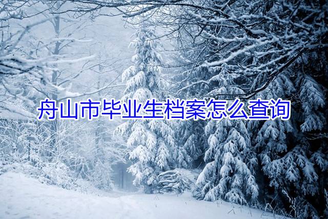 舟山市毕业生档案怎么查询