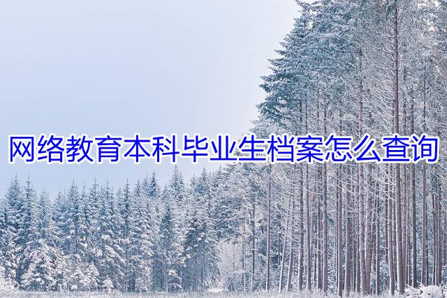 网络教育本科毕业生档案怎么查询