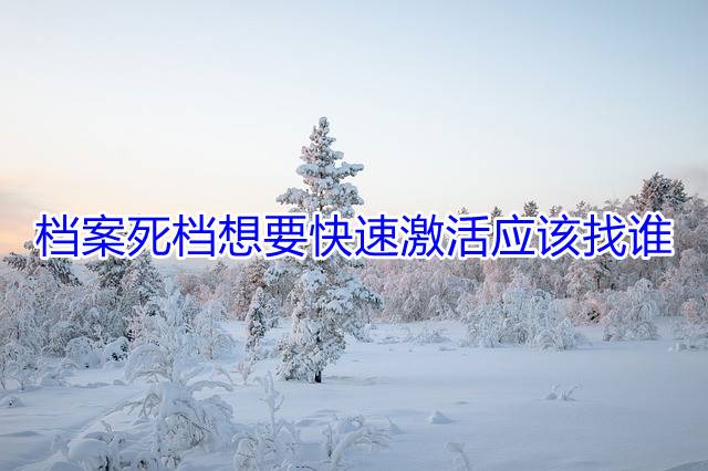 档案死档想要快速激活应该找谁