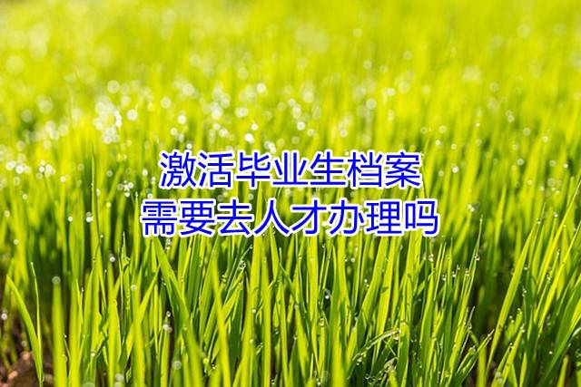 激活毕业生档案需要去人才办理吗