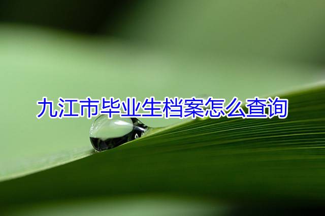 九江市毕业生档案怎么查询