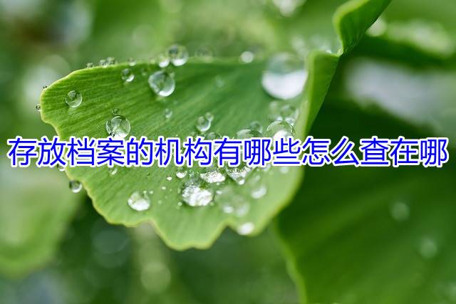 存放档案的机构有哪些怎么查在哪