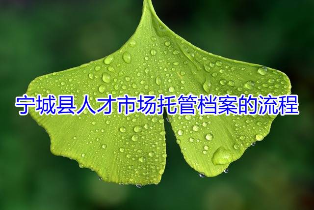 宁城县人才市场托管档案的流程