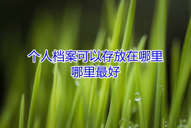 个人档案可以存放在哪里，哪里最好
