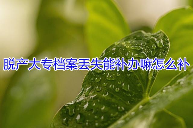 脱产大专档案丢失能补办嘛怎么补