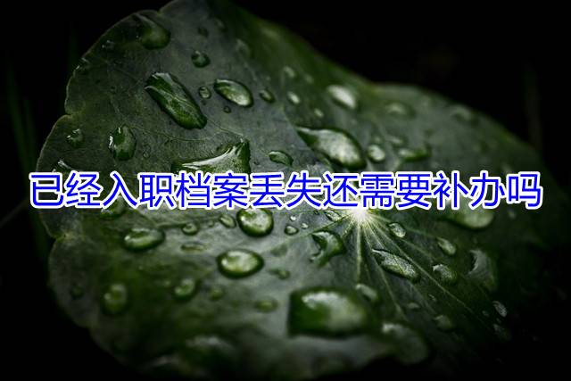 已经入职档案丢失还需要补办吗