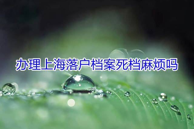 办理上海落户档案死档麻烦吗