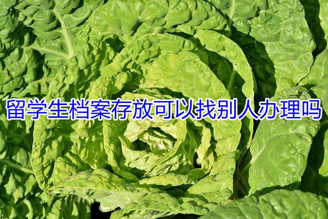 留学生档案存放可以找别人办理吗