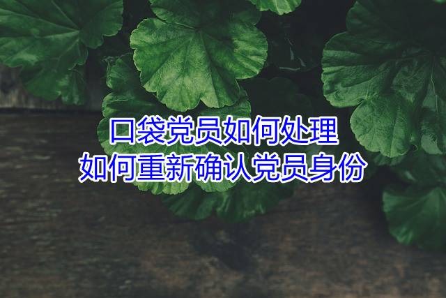 口袋党员如何处理?如何重新确认党员身份?