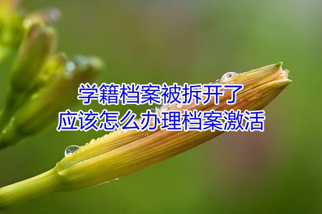 学籍档案被拆开了，应该怎么办理档案激活