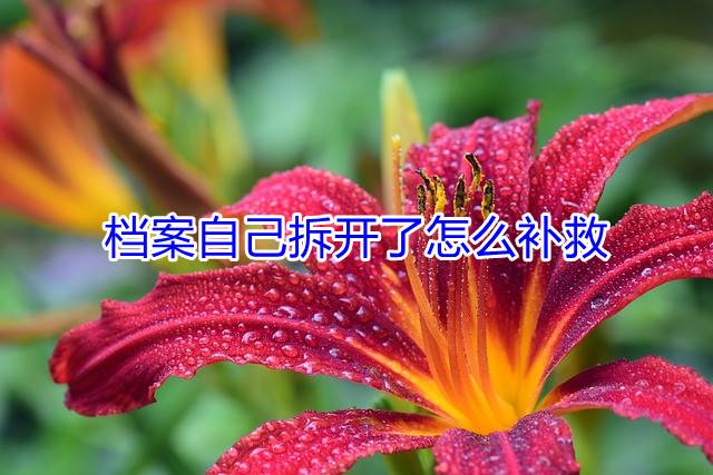 档案自己拆开了怎么补救