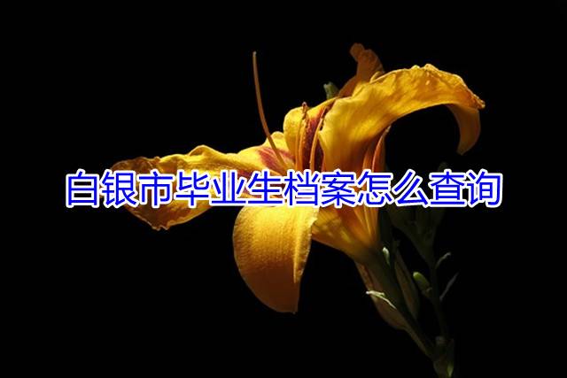 白银市毕业生档案怎么查询