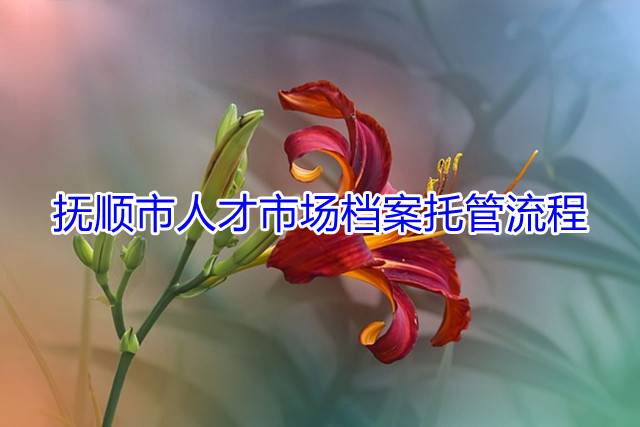 抚顺市人才市场档案托管流程