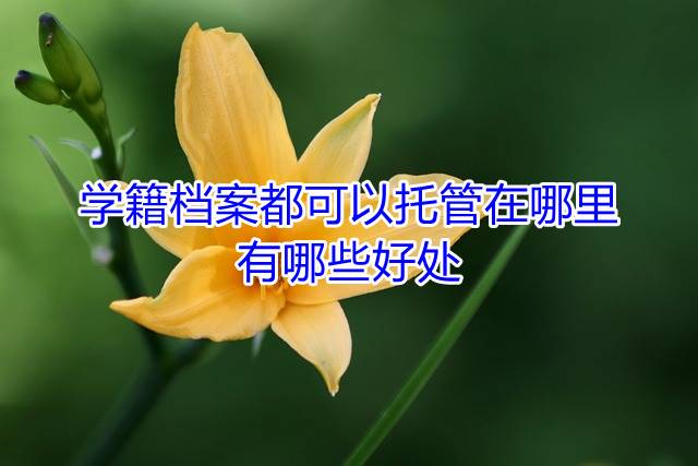 学籍档案都可以托管在哪里，有哪些好处