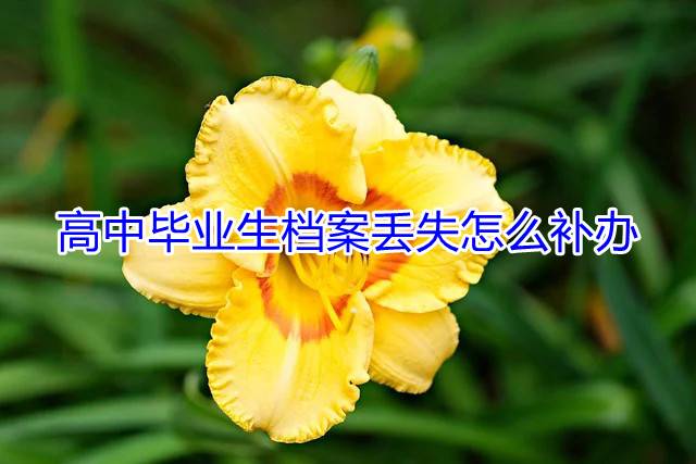 高中毕业生档案丢失怎么补办
