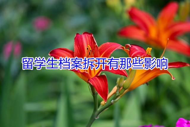 留学生档案拆开有那些影响