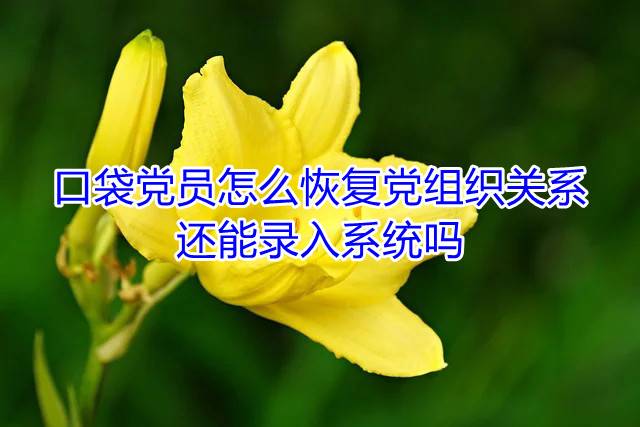 口袋党员怎么恢复党组织关系，还能录入系统吗