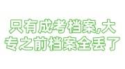 只有成考档案，大专之前的档案全丢了，政审能通过吗