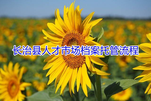 长治县人才市场档案托管流程