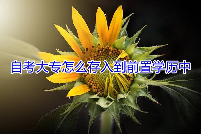自考大专怎么存入到前置学历中