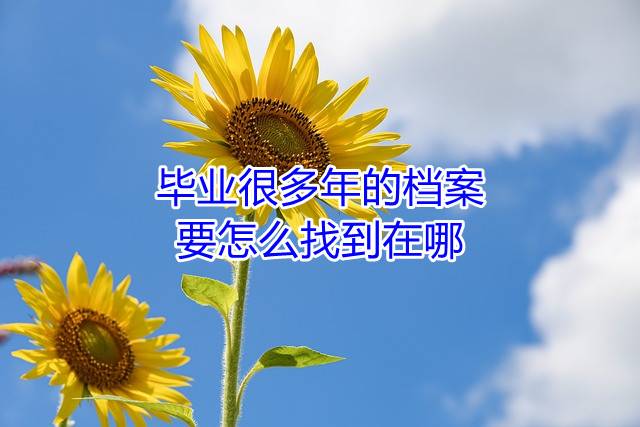 毕业很多年的档案要怎么找到在哪