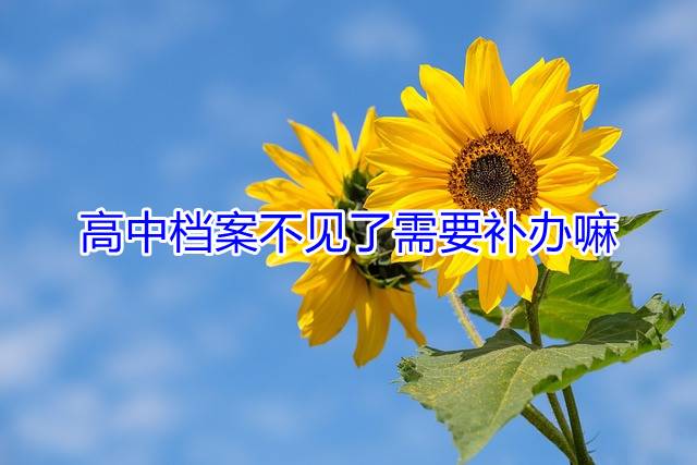 高中档案不见了需要补办嘛