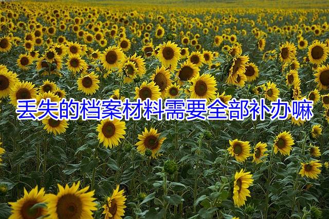 丢失的档案材料需要全部补办嘛