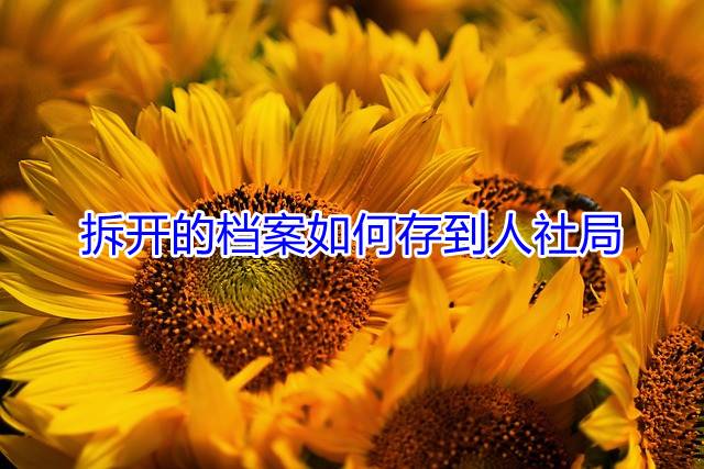 拆开的档案如何存到人社局