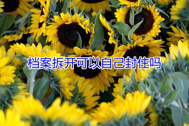 档案拆开可以自己封住吗