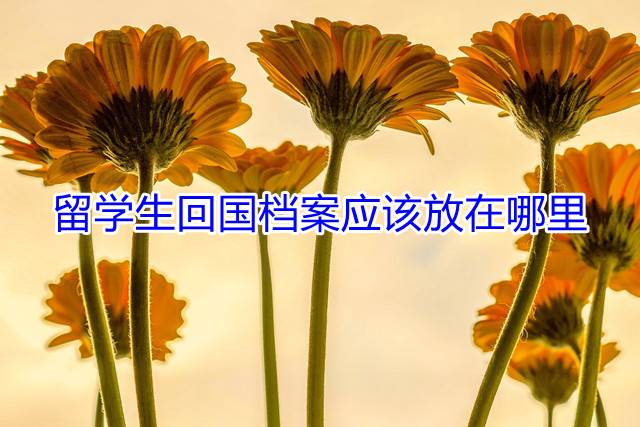 留学生回国档案应该放在哪里