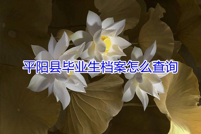 平阳县毕业生档案怎么查询