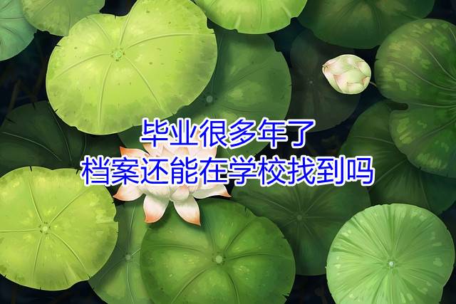 毕业很多年了档案还能在学校找到吗