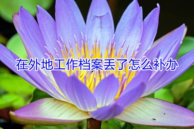 在外地工作档案丢了怎么补办