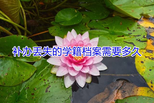 补办丢失的学籍档案需要多久