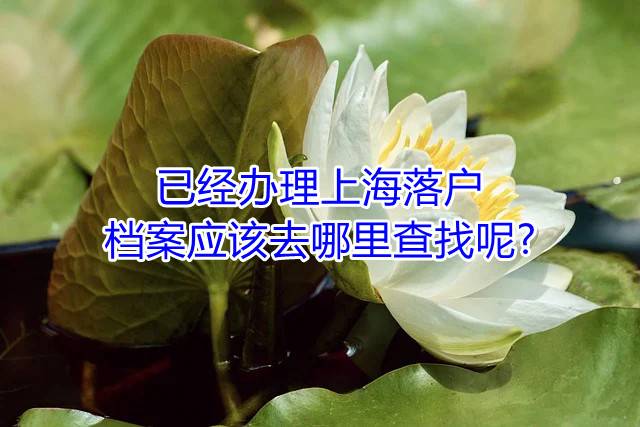 已经办理上海落户档案应该去哪里查找呢