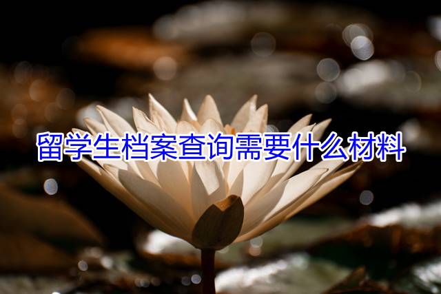 留学生档案查询需要什么材料