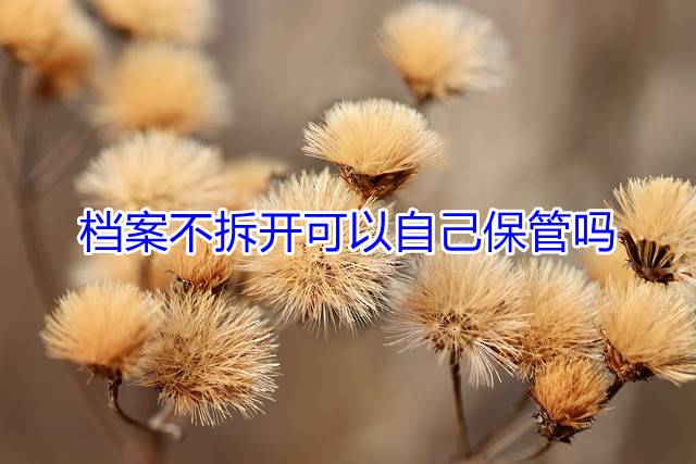 档案不拆开可以自己保管吗