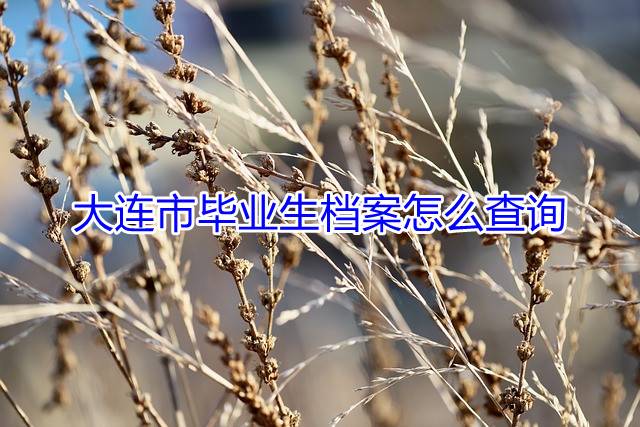 大连市毕业生档案怎么查询