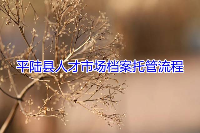 平陆县人才市场档案托管流程