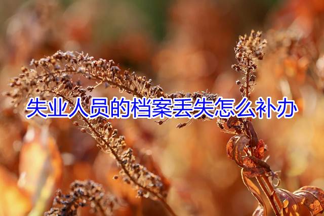 失业人员的档案丢失怎么补办