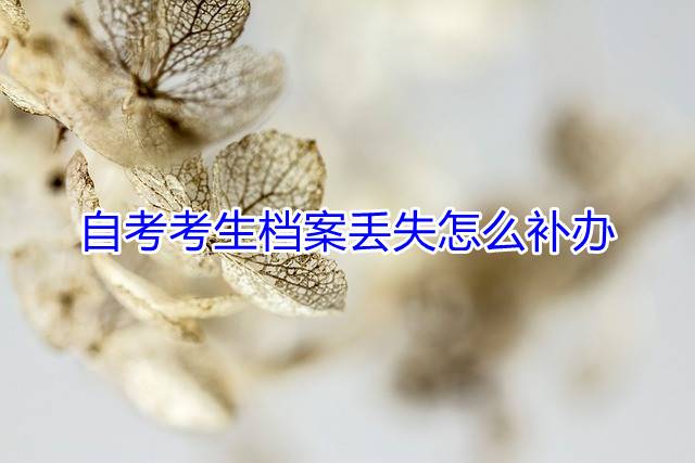 自考考生档案丢失怎么补办