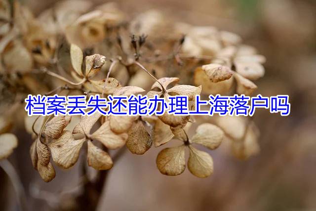 档案丢失还能办理上海落户吗
